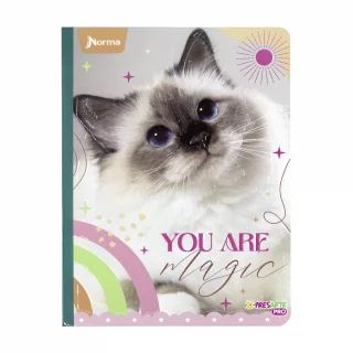 Cuaderno Cosido 100 Hojas Linea Corriente Cats You Are Magic