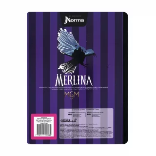 Cuaderno Cosido 100 Hojas línea corriente Merlina - Interesting