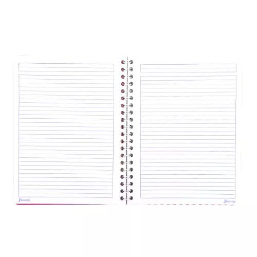 Cuad DO Amer Hello Kitty C5 100H Spring