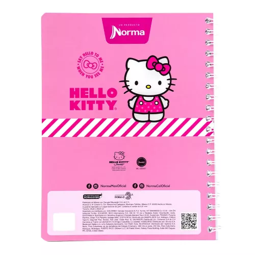 Cuad DO Amer Hello Kitty C5 100H Spring