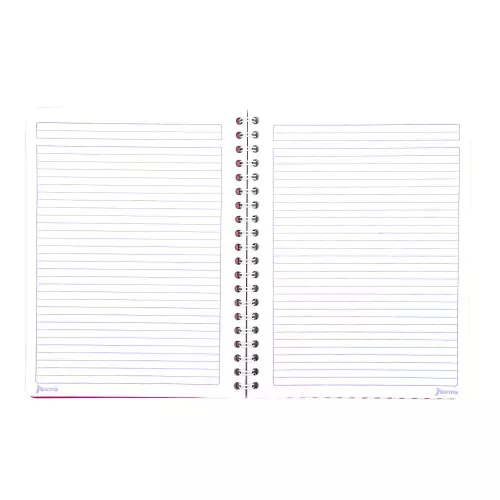 Cuad DO Amer Hello Kitty C7 100H Flowers and Stars