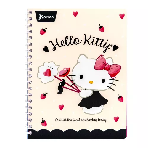 Cuad DO Amer Hello Kitty Ry 100H Look at the Fun I am having Today