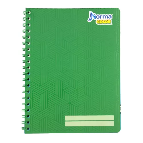 Cuad DO Amer Norma Color Ry 100H Verde