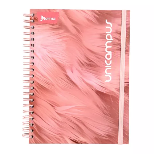 Cuad DO Dura Book Prof Unicampus Ry 160H 5M Plumas Rosas