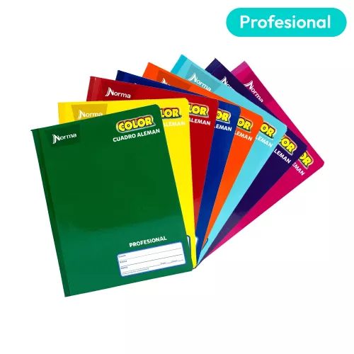 Cuaderno Cosido Profesional Cuadro Aleman 100 Hojas Norma Color