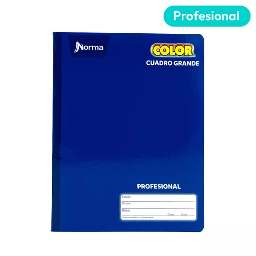 Cuaderno Cosido Profesional Cuadro Grande Norma Color Azul 100 Hojas