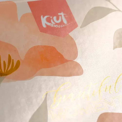 Carpeta Dura Book 3A Prof Kiut Beautiful Moments