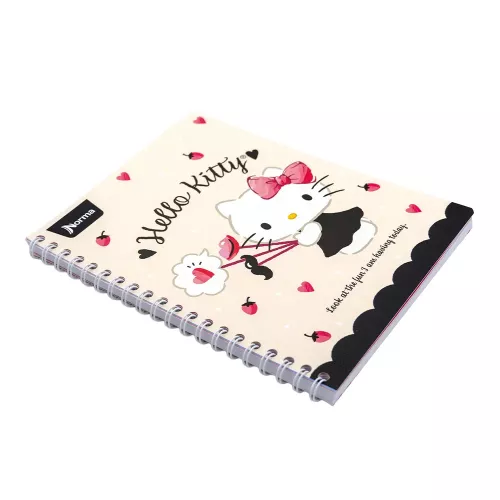 Cuad DO Amer Hello Kitty Ry 100H Look at the Fun I am having Today