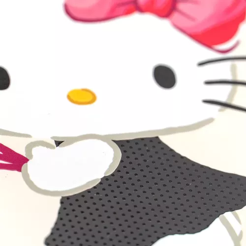 Cuad DO Amer Hello Kitty Ry 100H Look at the Fun I am having Today