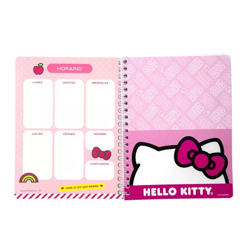 Cuad DO Amer Hello Kitty Ry 100H Look at the Fun I am having Today