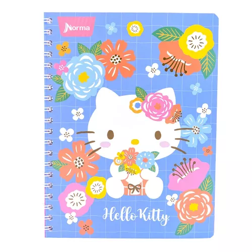 Cuad DO Amer Hello Kitty Ry 100H Spring