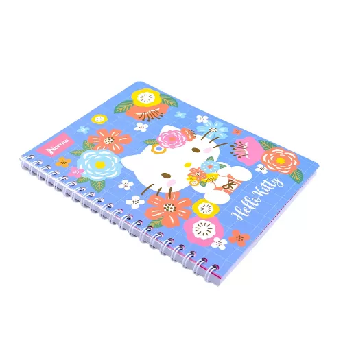 Cuad DO Amer Hello Kitty Ry 100H Spring