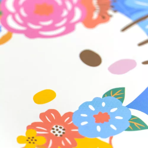 Cuad DO Amer Hello Kitty Ry 100H Spring