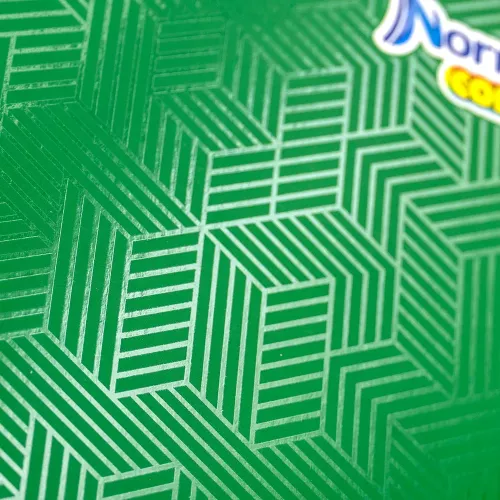 Cuad DO Amer Norma Color Ry 100H Verde
