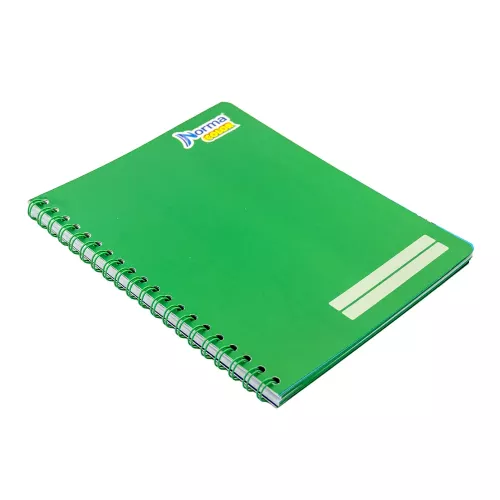 Cuad DO Amer Norma Color Ry 100H Verde
