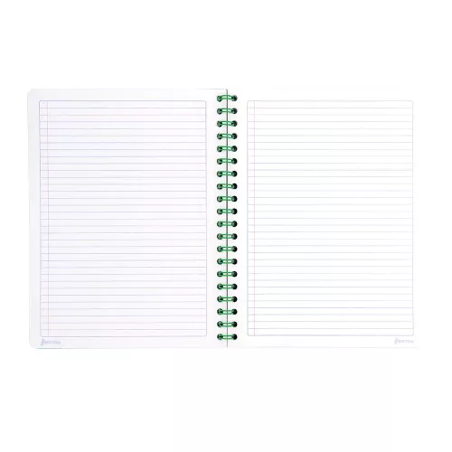 Cuad DO Amer Norma Color Ry 100H Verde