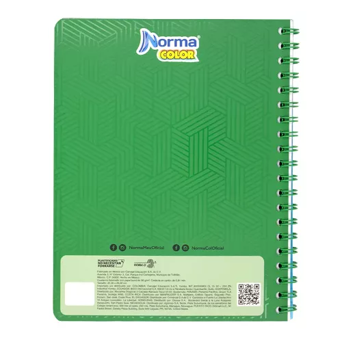 Cuad DO Amer Norma Color Ry 100H Verde