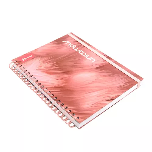 Cuad DO Dura Book Prof Unicampus Ry 160H 5M Plumas Rosas
