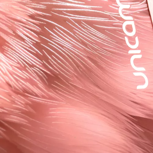 Cuad DO Dura Book Prof Unicampus Ry 160H 5M Plumas Rosas
