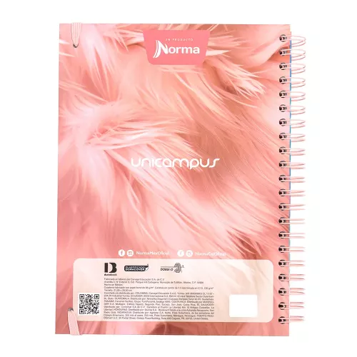 Cuad DO Dura Book Prof Unicampus Ry 160H 5M Plumas Rosas