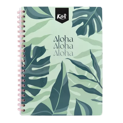 Cuad DO Prof Kiut Ry 100H Aloha, Aloha, Aloha