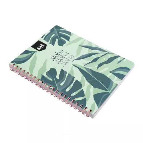 Cuad DO Prof Kiut Ry 100H Aloha, Aloha, Aloha