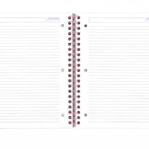 Cuaderno Argollado  Profesional Raya Unicampus Celestial 100 Hojas