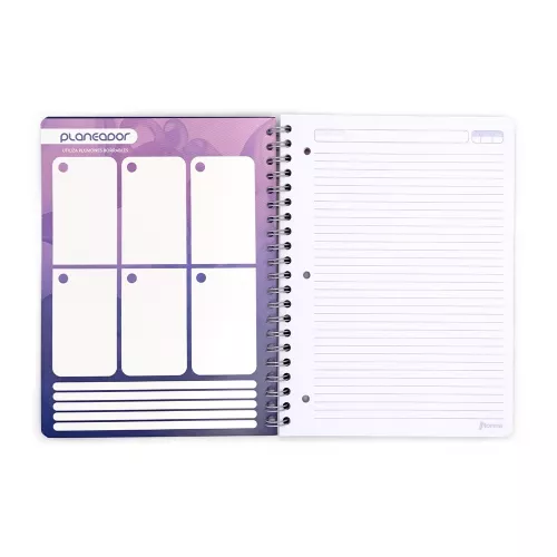 Cuaderno Argollado  Profesional Raya Unicampus Celestial 100 Hojas