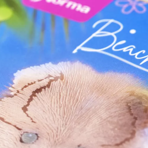 Cuaderno Argollado Frances Cuadro Chico Dogs Beach day 100 Hojas