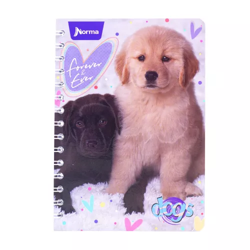 Cuaderno Argollado Frances Cuadro Chico Dogs Forever and Ever 100 Hojas