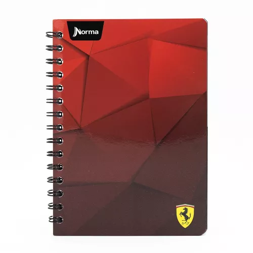 Cuaderno Argollado Frances Cuadro Chico Ferrari  Geometry 100 Hojas