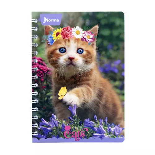 Cuaderno Argollado Frances Cuadro Grande Dogs Cat flower 100 Hojas