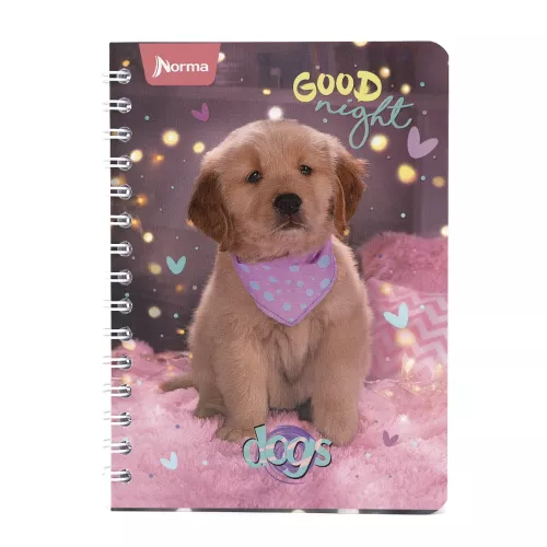 Cuaderno Argollado Frances Cuadro Grande Dogs Good Night - Dogs 100 Hojas