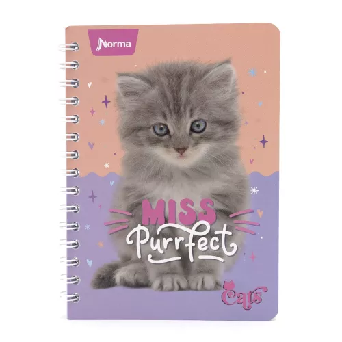 Cuaderno Argollado Frances Cuadro Grande Dogs Miss Purrfect - Cats 100 Hojas