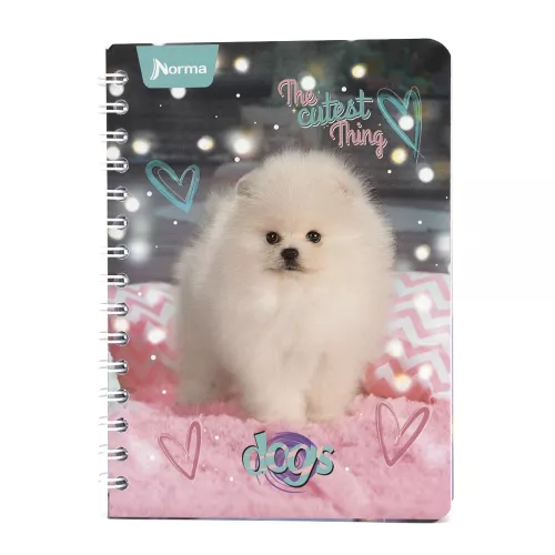 Cuaderno Argollado Frances Cuadro Grande Dogs The cutes thing -Dogs 100 Hojas