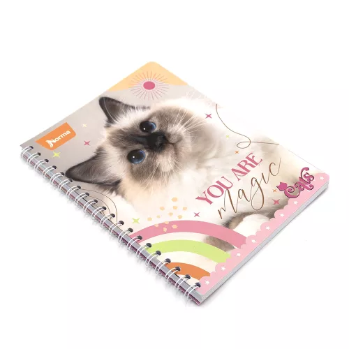 Cuaderno Argollado Frances Cuadro Grande Dogs You are magic - Cats 100 Hojas