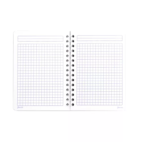 Cuaderno Argollado Frances Cuadro Grande Dogs You are magic - Cats 100 Hojas