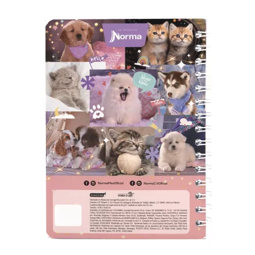 Cuaderno Argollado Frances Cuadro Grande Dogs You are magic - Cats 100 Hojas