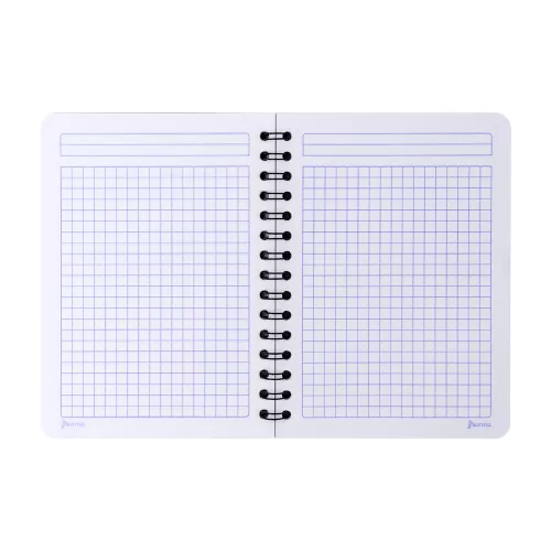 Cuaderno Argollado Frances Cuadro Grande Ferrari SF 2 100 Hojas