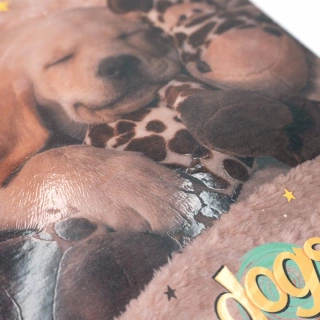 Cuaderno Argollado Frances Raya Dogs Norma Sleeping jirafa 100 Hojas