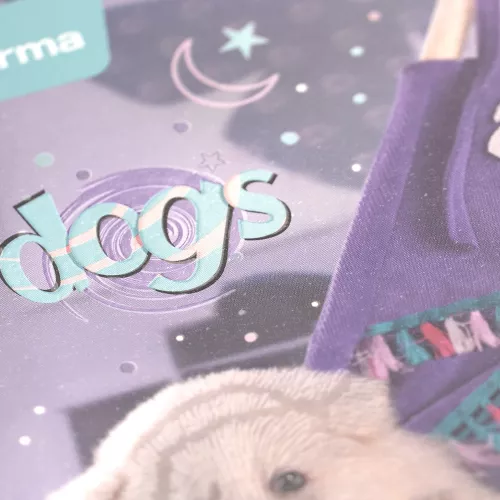 Cuaderno Argollado Frances Raya Dogs Smile -Dogs 100 Hojas
