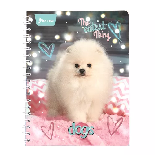 Cuaderno Argollado Frances Raya Dogs The cutes thing -Dogs 100 Hojas