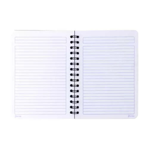 Cuaderno Argollado Frances Raya Ferrari  Geometry 100 Hojas