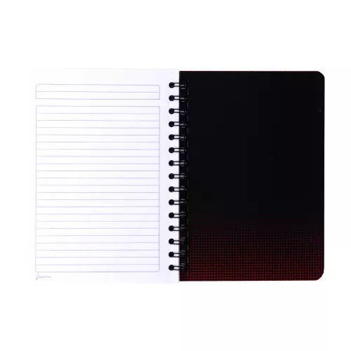 Cuaderno Argollado Frances Raya Ferrari  Geometry 100 Hojas