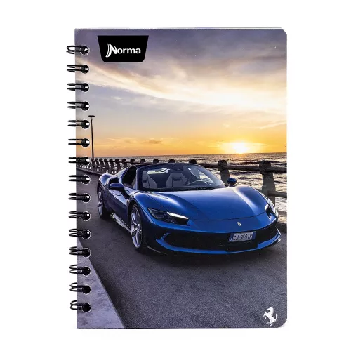 Cuaderno Argollado Frances Raya Ferrari  Travel 100 Hojas