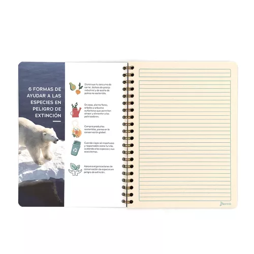 Cuaderno Argollado Profesional Cuadro Chico Ecoplanet In our hands