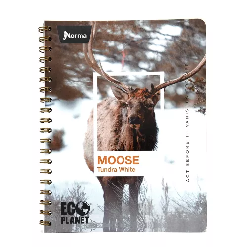Cuaderno Argollado Profesional Cuadro Chico Ecoplanet Moose Tundra White
