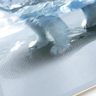 Cuaderno Argollado Profesional Cuadro Grande Ecoplanet Norma Oso Polar 100 Hojas