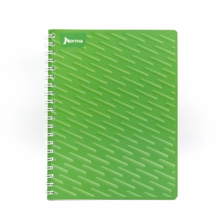 Cuaderno Argollado Profesional Cuadro Grande Norma Verde 100 Hojas