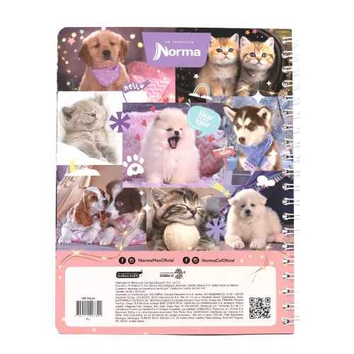 Cuaderno Argollado Profesional Raya Dogs The cutes thing -Dogs 100 Hojas